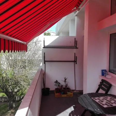 With Garden View *